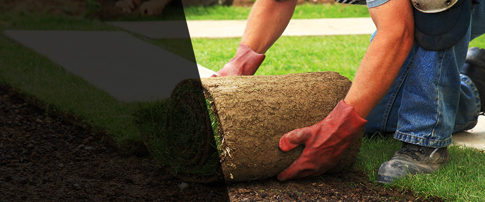 Port Ewen Landscapers